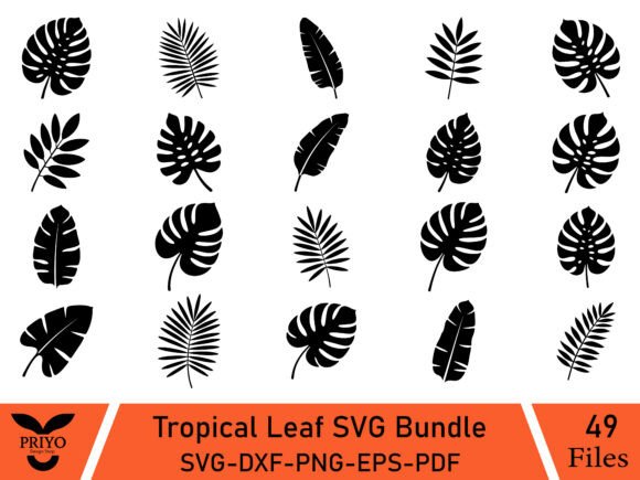 An SVG Bundle for Tropical Branding & Illustrations