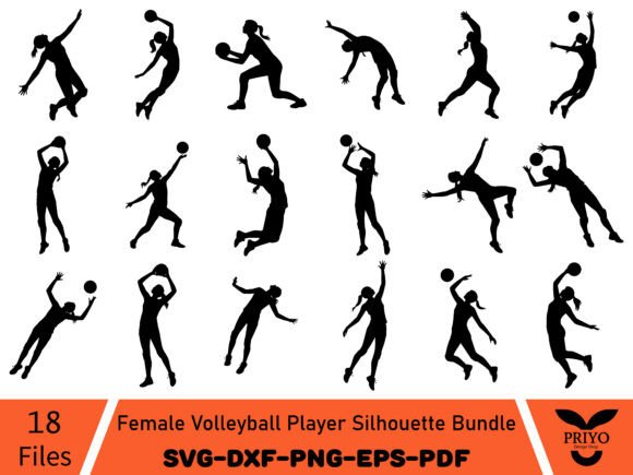 Evaluating the Volleyball Player Silhouette for Embroidery