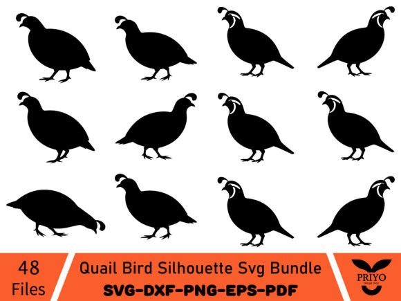 Quail Bird Silhouette Graphics for Brand Illustrations